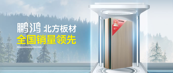 维多利亚老品牌vic板材全屋定制亮相沈阳家博会，，，，誊写各人居时代新篇章