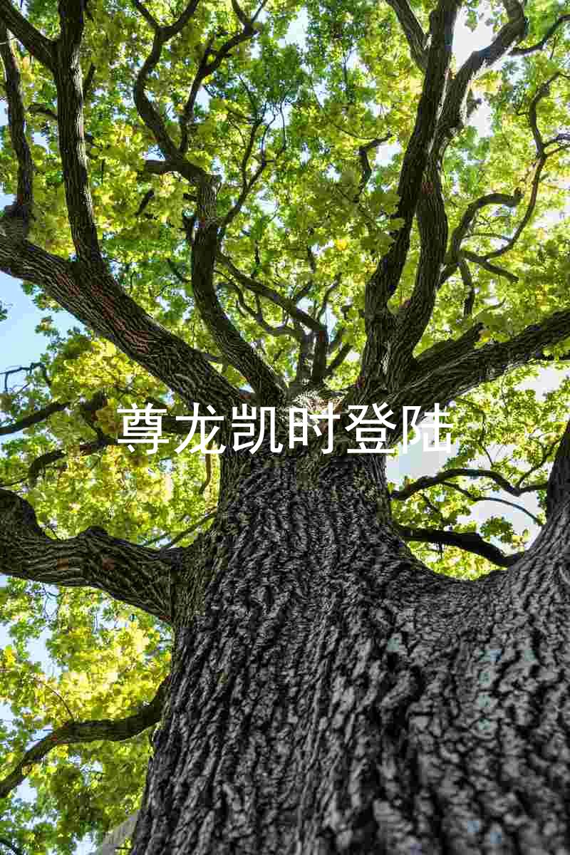 尊龙凯时登陆