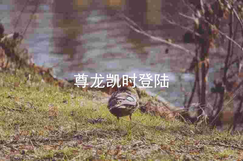 尊龙凯时登陆