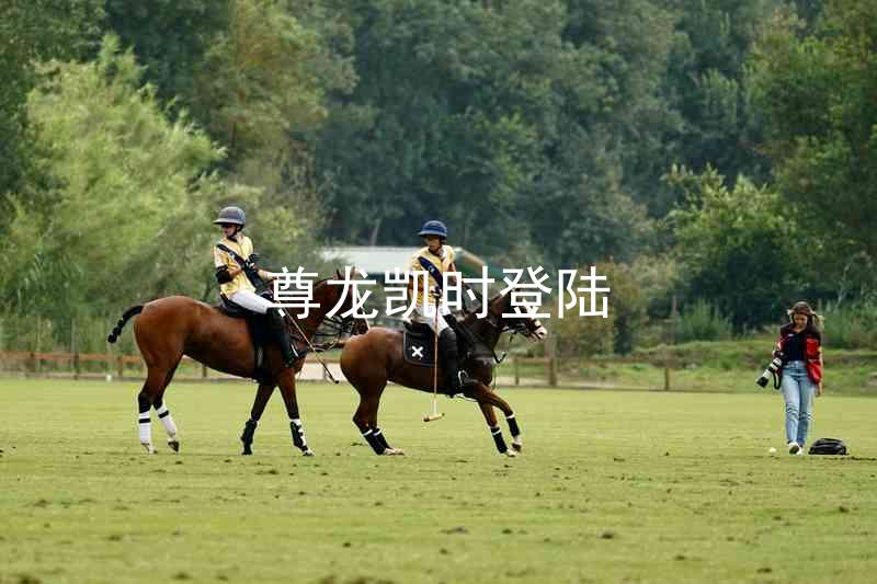 尊龙凯时登陆
